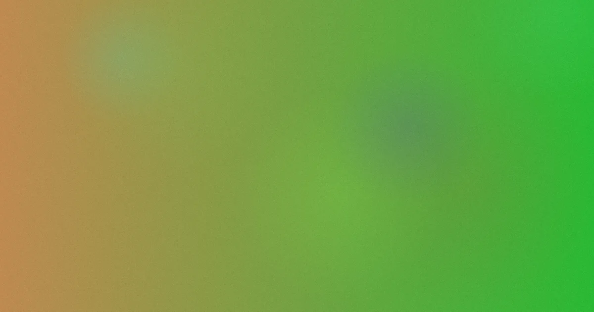 电影禁止的爱是什么：一文讲透